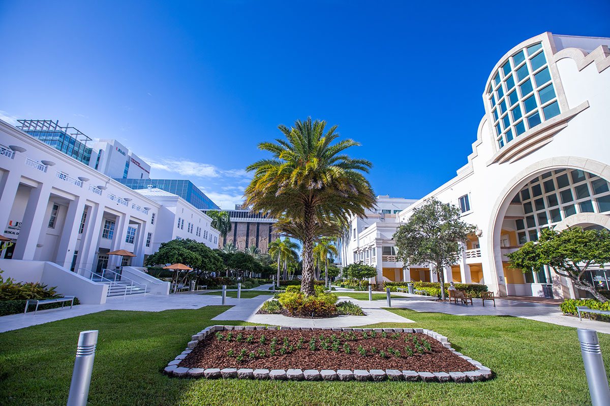 Sylvester Comprehensive Cancer Center exterior